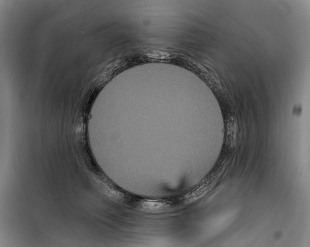X0000099380614200806051122
