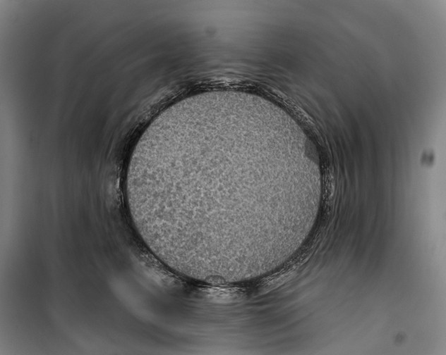 X0000099380615200806051122