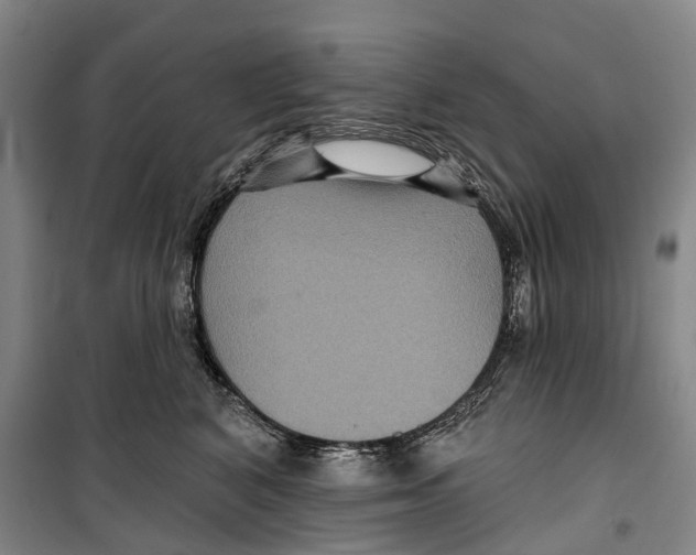 X0000099380616200806051122