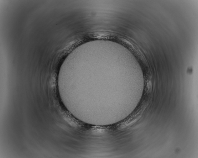 X0000099380620200806051122