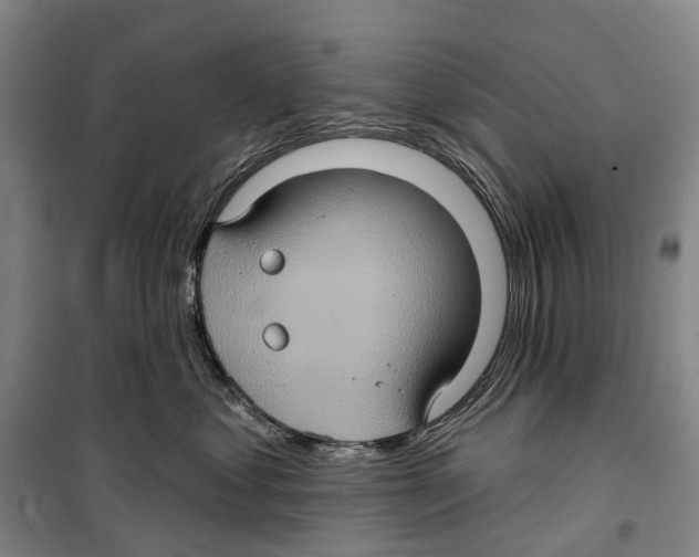 X0000099380621200806051122