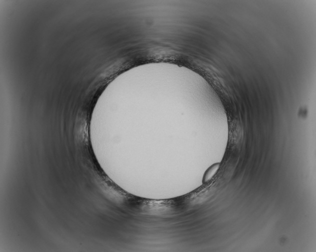 X0000099380622200806051122