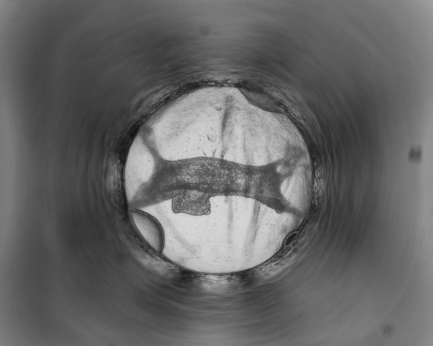 X0000099380623200806051122