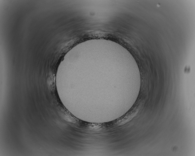 X0000099380624200806051122