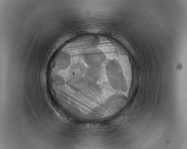 X0000099380626200806051121
