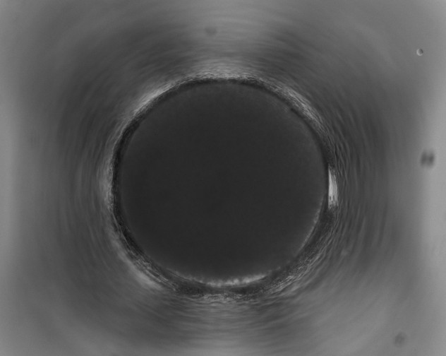 X0000099380627200806051121