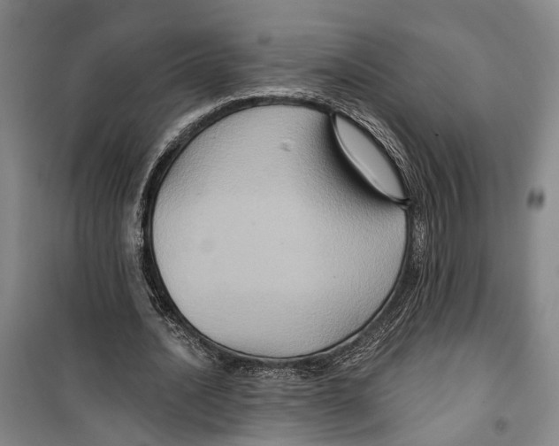 X0000099380628200806051121