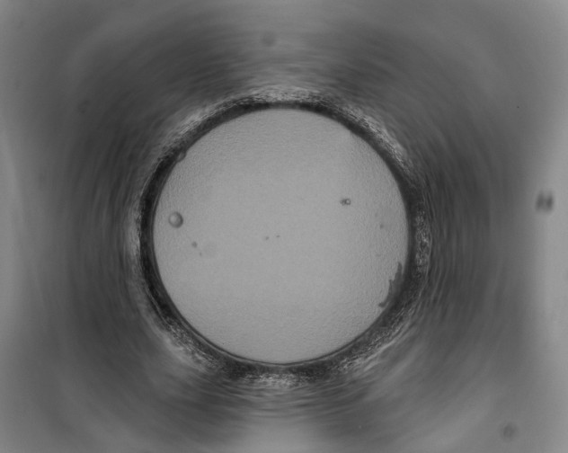 X0000099380631200806051121