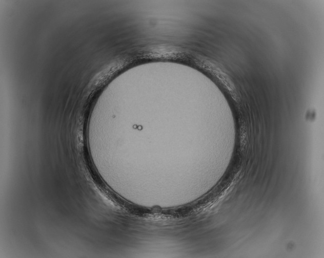 X0000099380633200806051121
