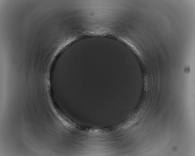 X0000099380634200806051121