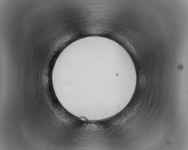 X0000099380635200806051121