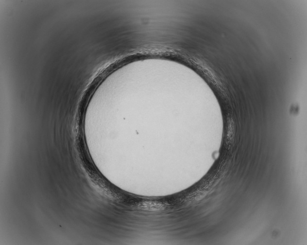 X0000099380636200806051121