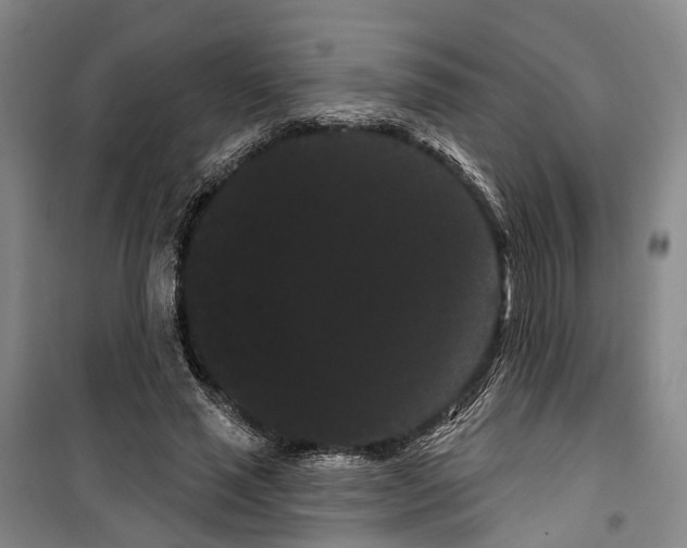 X0000099380637200806051122
