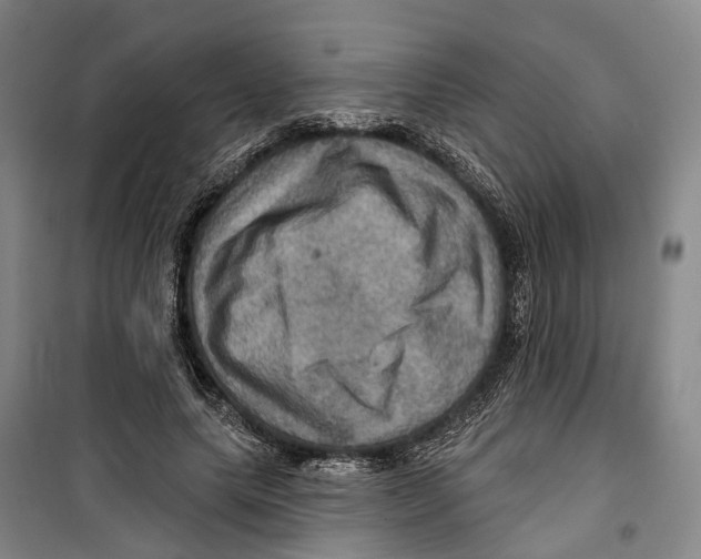 X0000099380639200806051122
