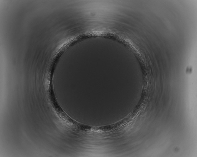 X0000099380640200806051122