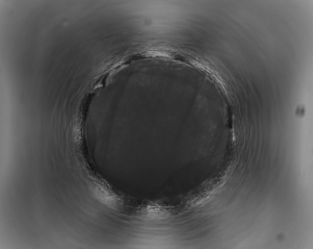 X0000099380641200806051122