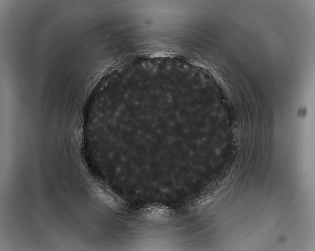 X0000099380642200806051122