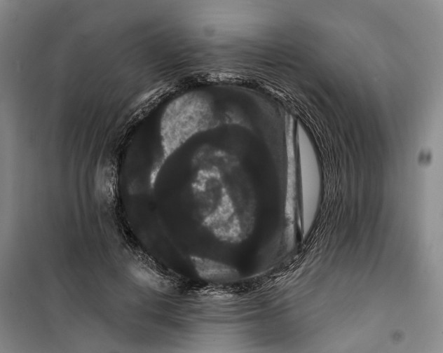 X0000099380648200806051122