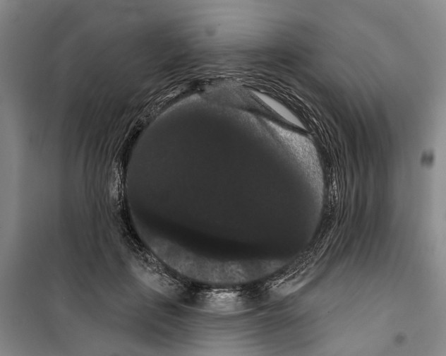 X0000099380651200806051122