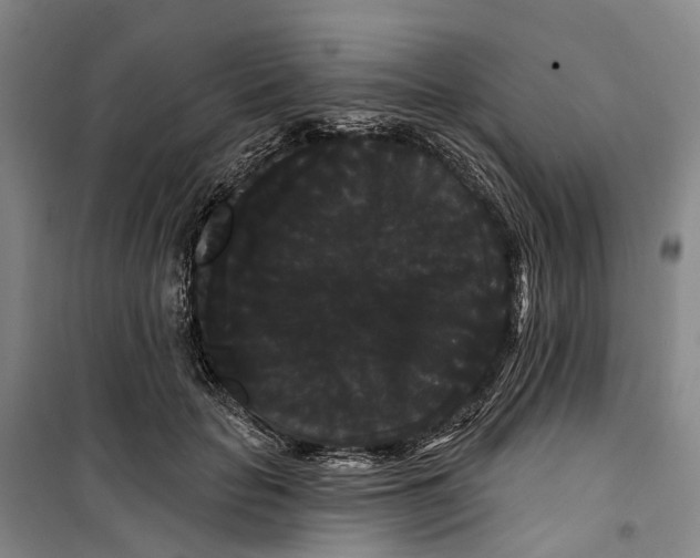 X0000099380653200806051122
