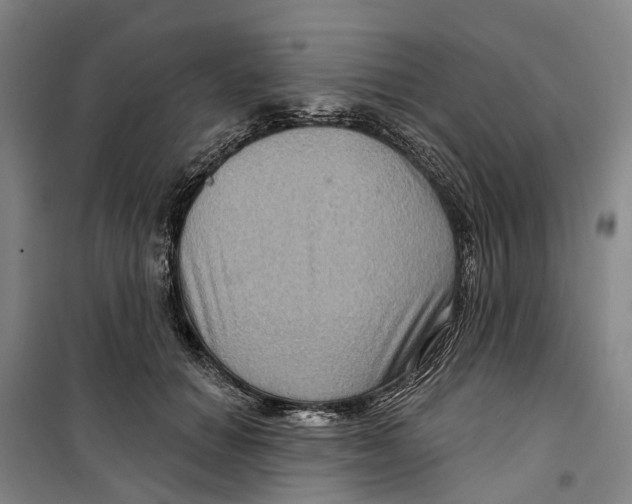 X0000099380654200806051122