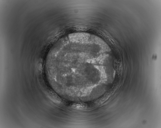 X0000099380655200806051122