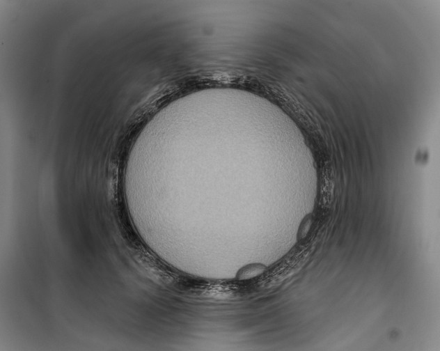 X0000099380656200806051122