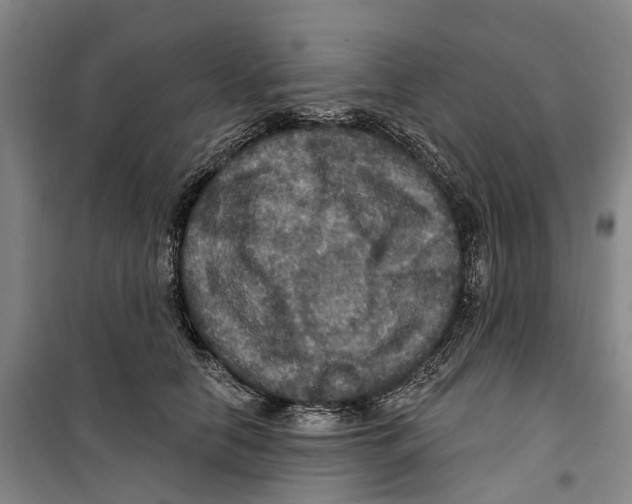 X0000099380658200806051122