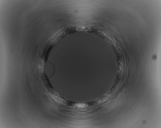 X0000099380659200806051122
