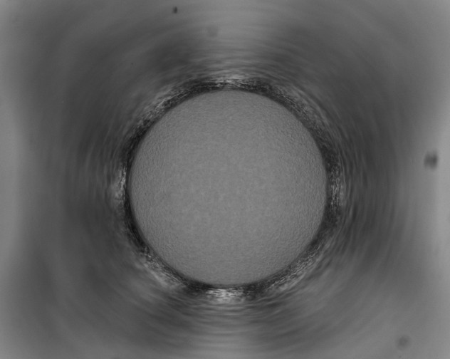 X0000099380660200806051122