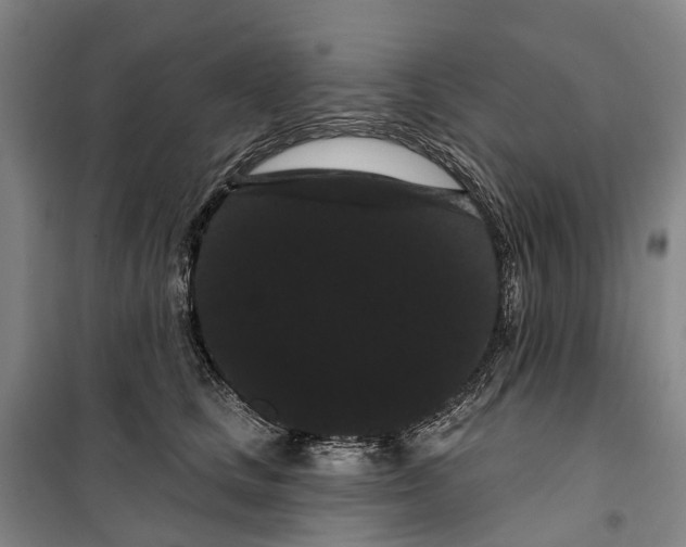X0000099380661200806051122