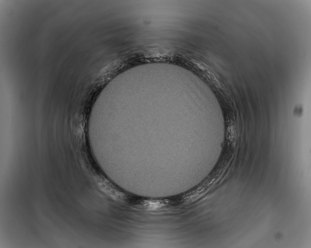 X0000099380662200806051122