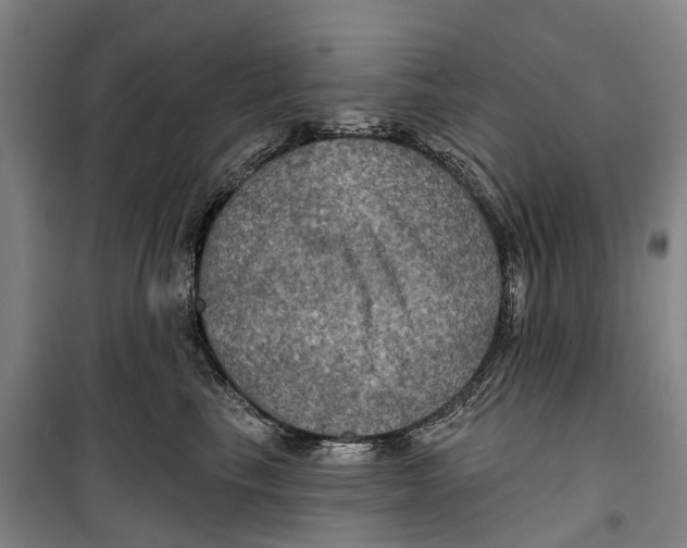 X0000099380665200806051122