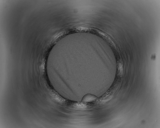 X0000099380668200806051122