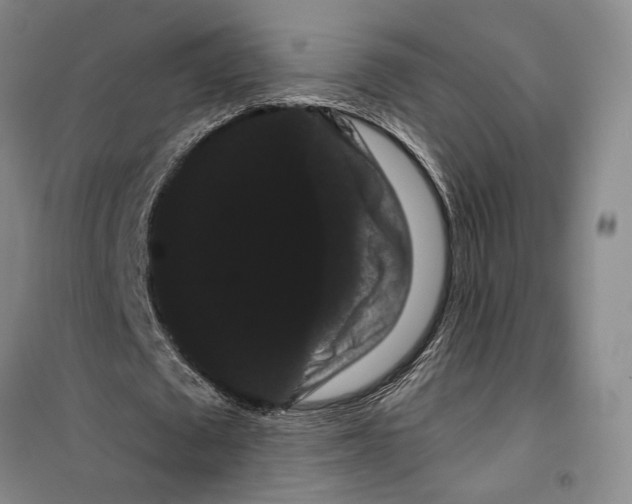 X0000099380673200806051121