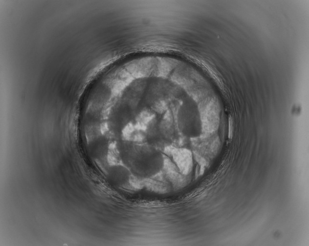 X0000099380675200806051121