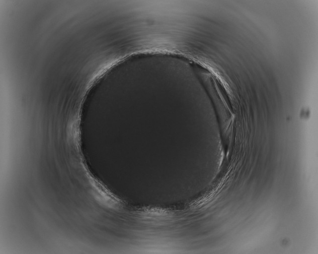 X0000099380677200806051121