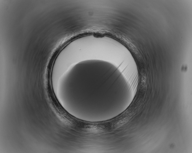 X0000099380678200806051121