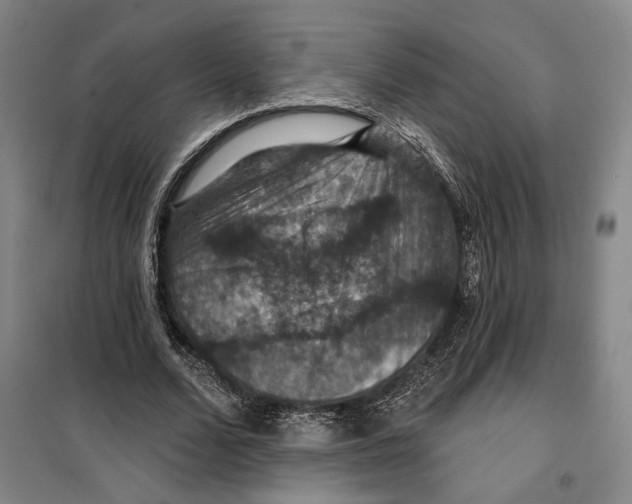 X0000099380680200806051121