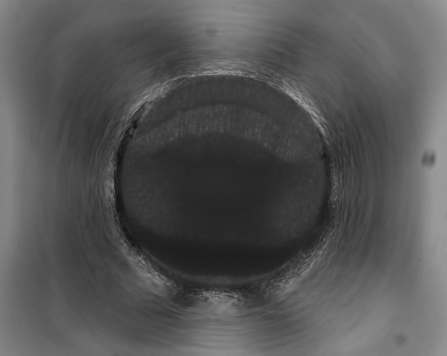X0000099380681200806051121