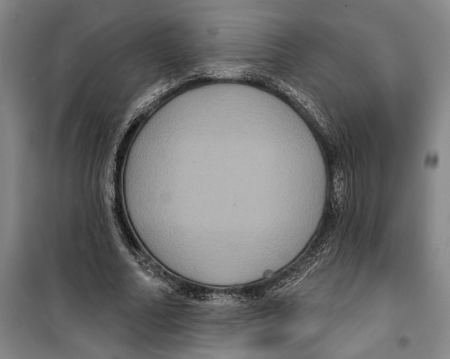 X0000099380682200806051121