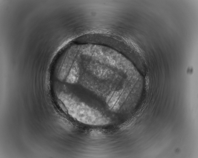X0000099380684200806051121