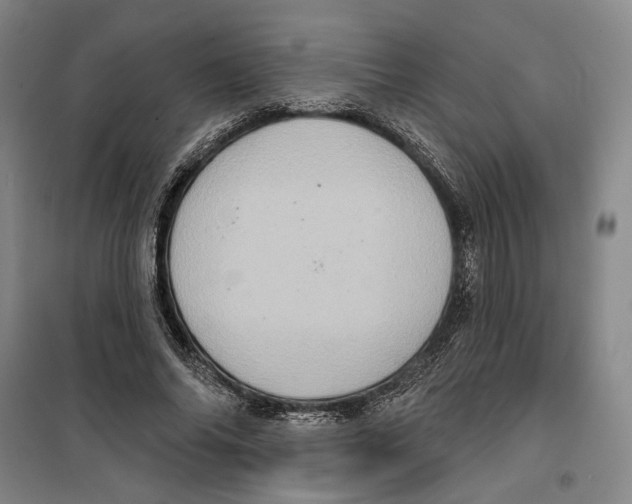 X0000099380686200806051121
