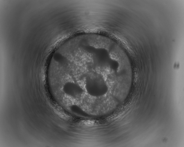 X0000099380687200806051121