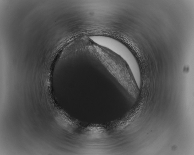 X0000099380689200806051121