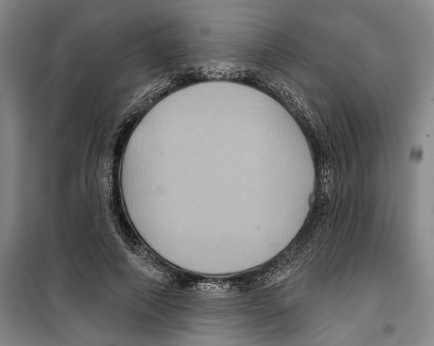 X0000099380690200806051121