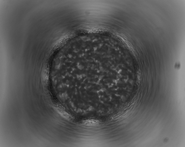 X0000099380691200806051121