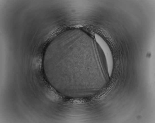X0000099380697200806051121