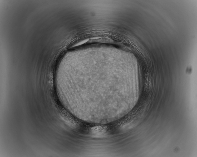 X0000099380700200806051121