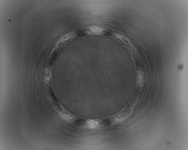 X0000099380701200806051121